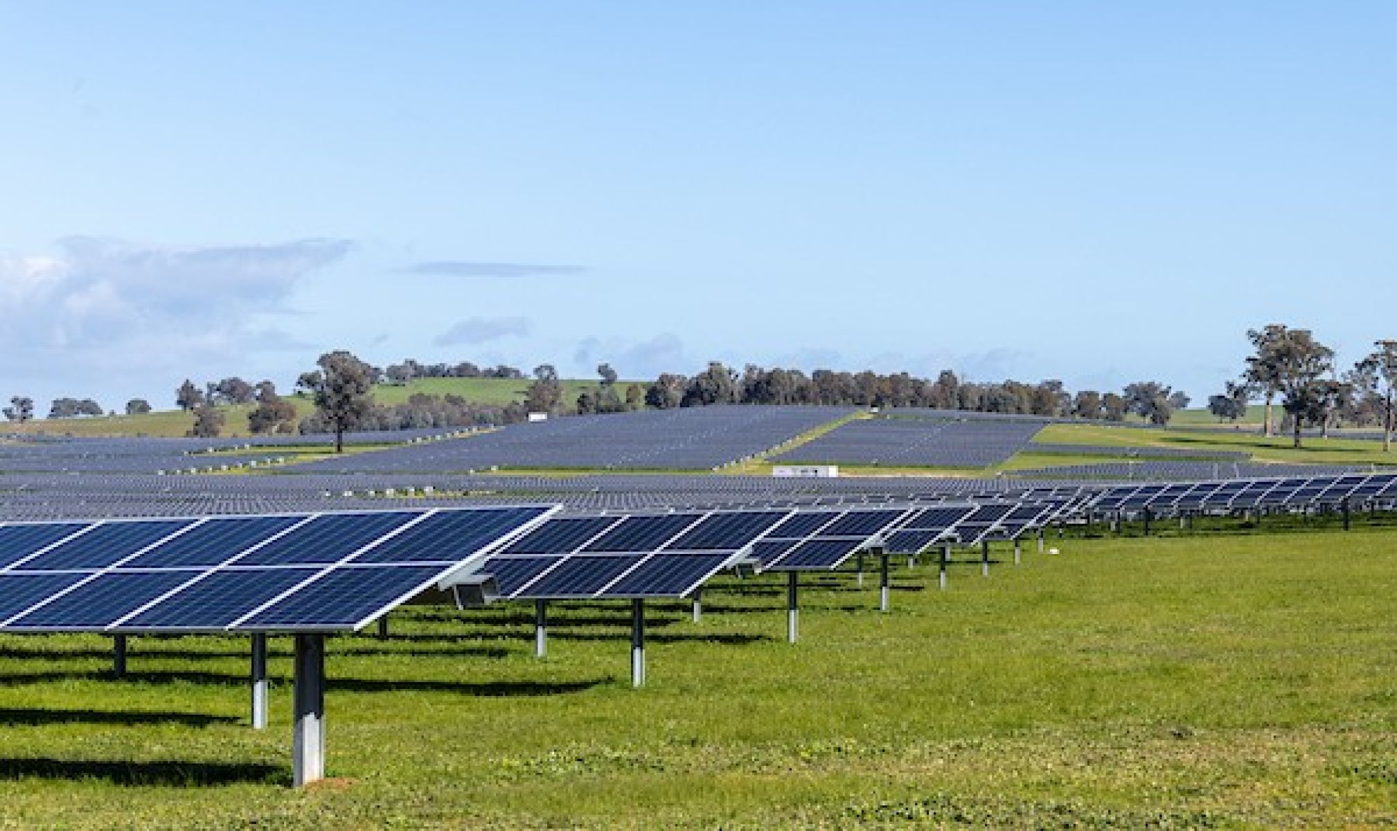 Photo of solar panels in rows at a solar farm with the sun shining on them. 