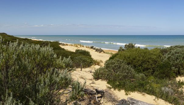 Illustrative view of turbines 60km from Golden Beach