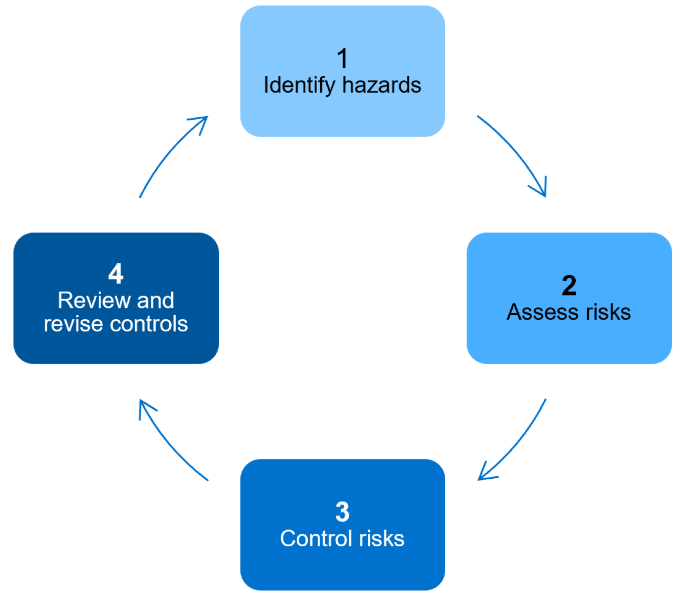 Flow chart showing the four-step risk management process: identify hazards, assess risks, control risks, then review and revise controls.