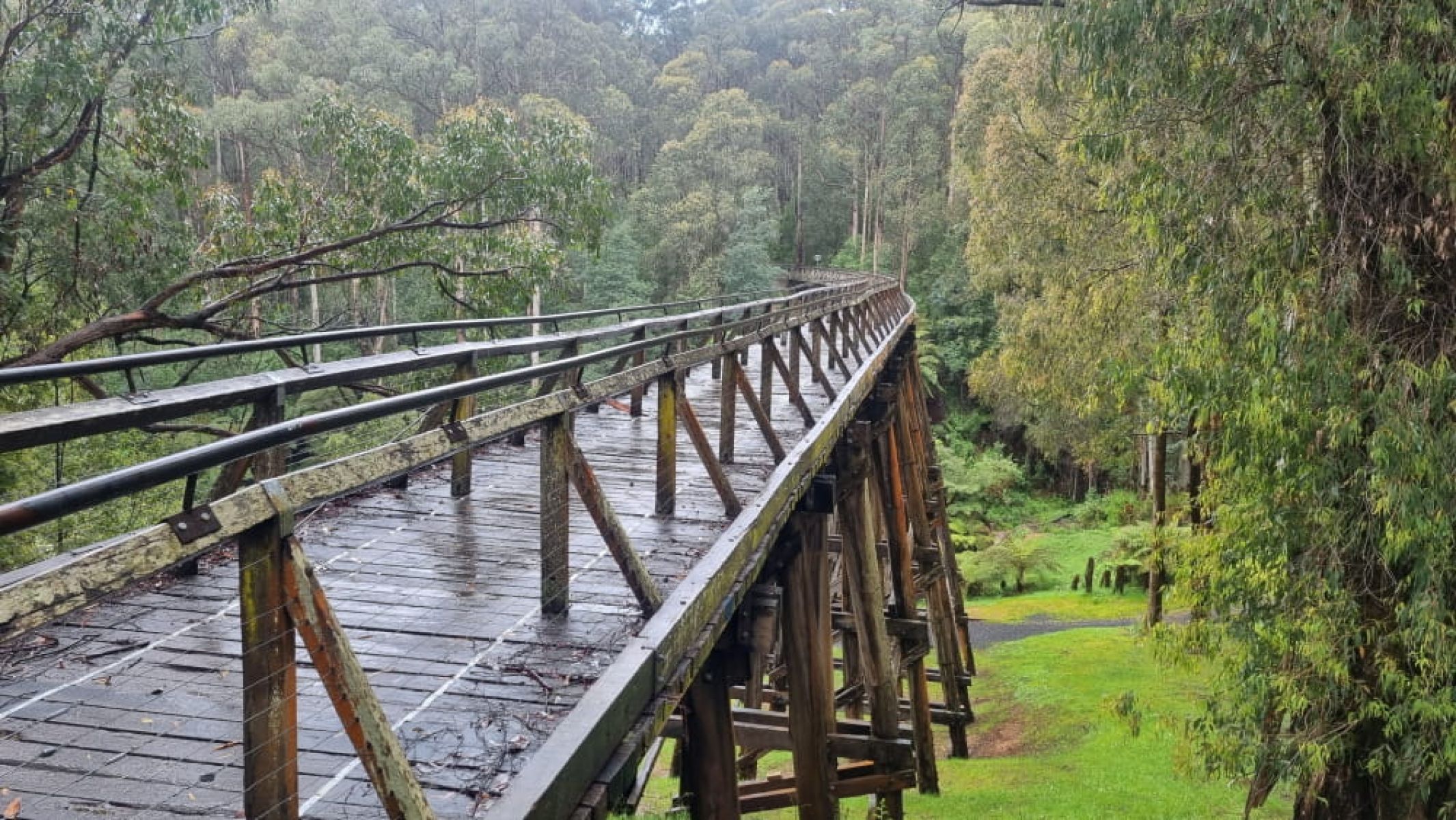 Trestle bridge in rain with forest either side
