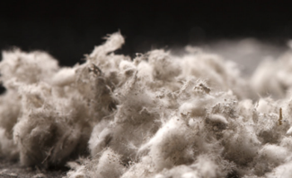 Sprayed asbestos insulation