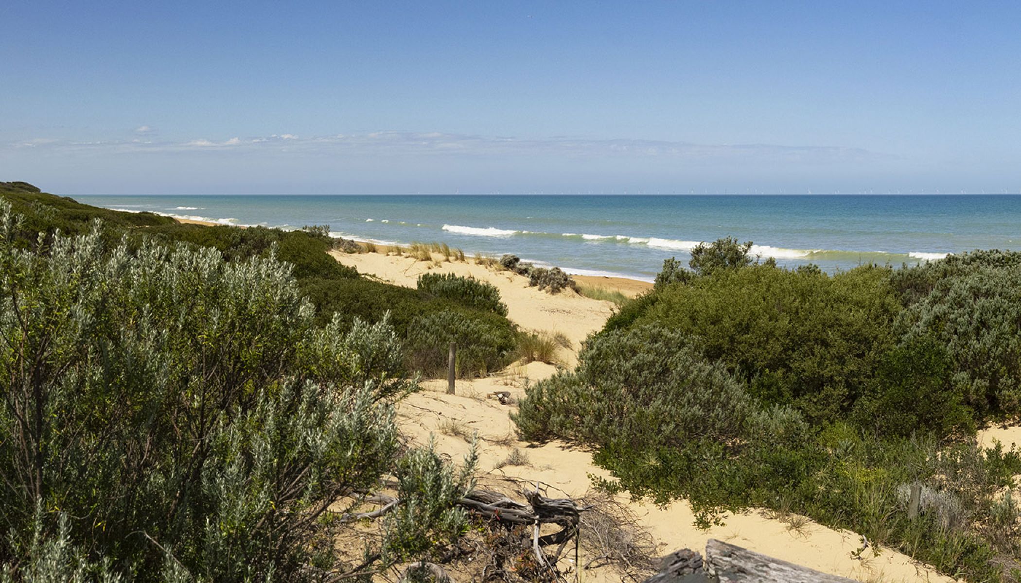 View of the wind rurbines at 30km from the shoreline at Golden Beach