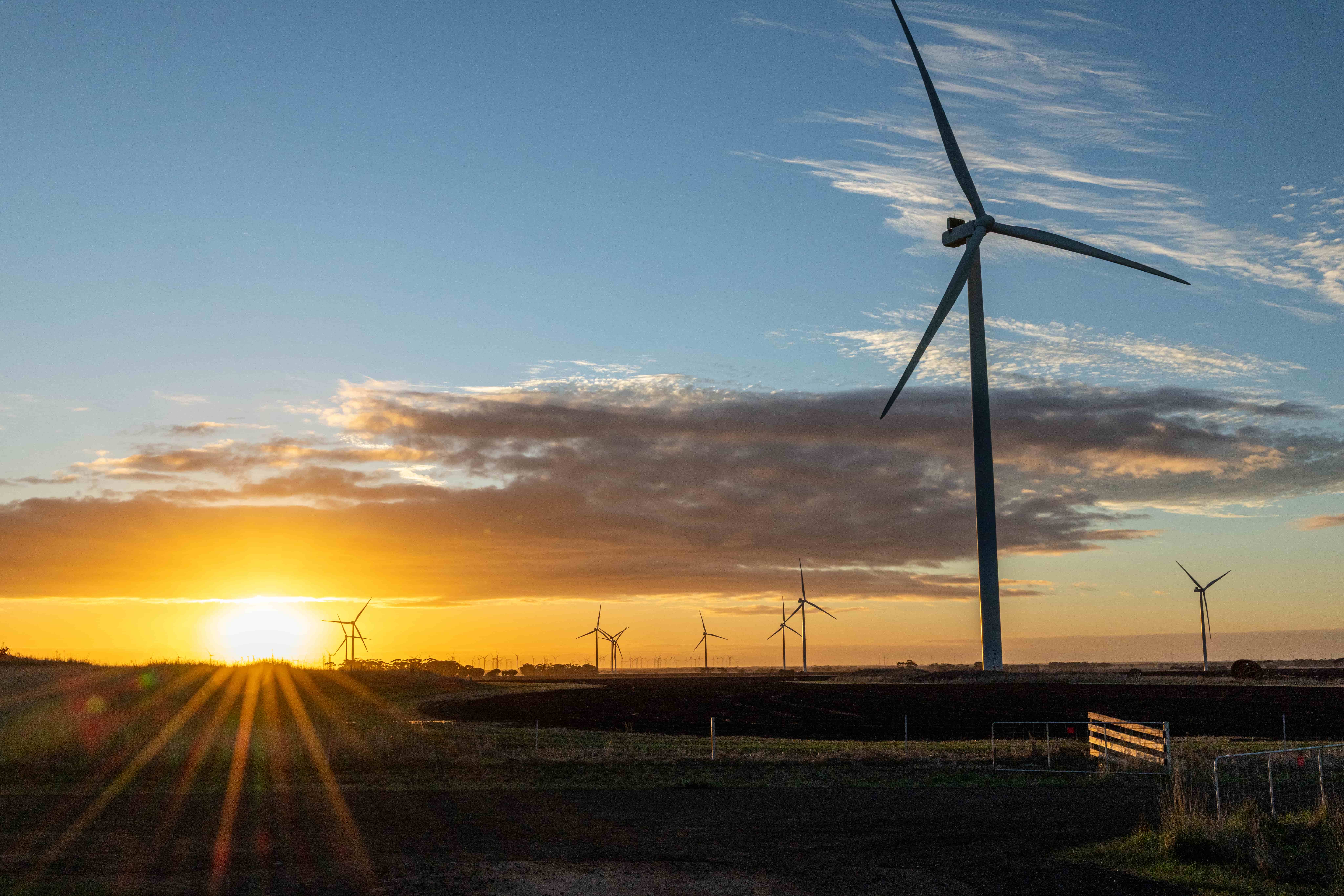 Photo of a wind farm with the sunrise in the background  