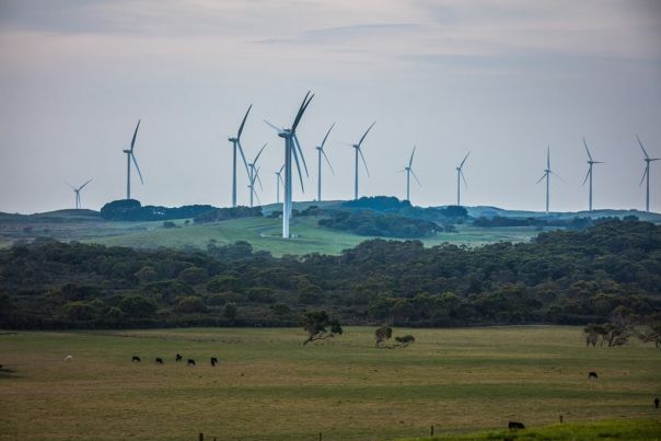 wind farm