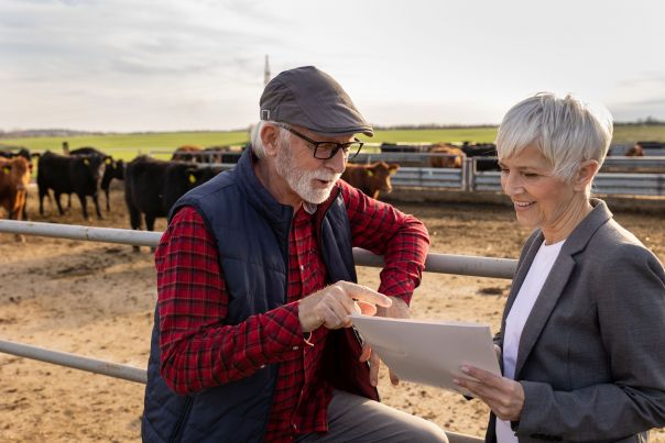 Two people talking in front of a fence. Cows milling about in the background