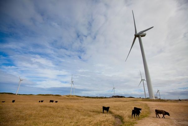 wind turbine