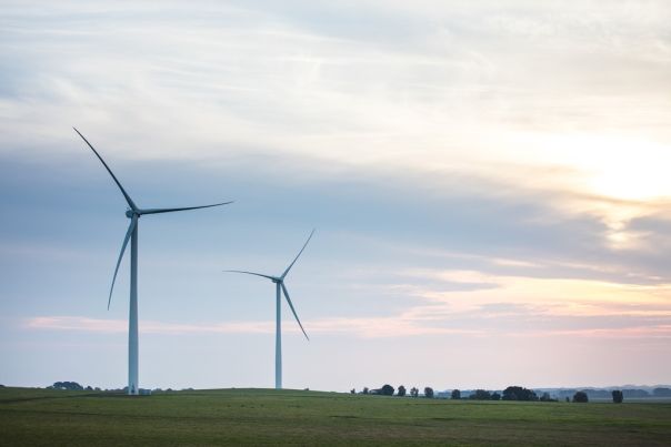 Bald Hills wind farm